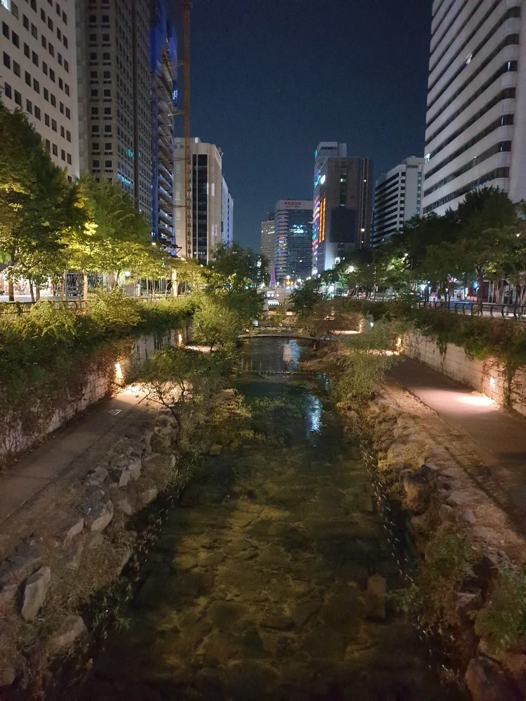 달빛이좋아