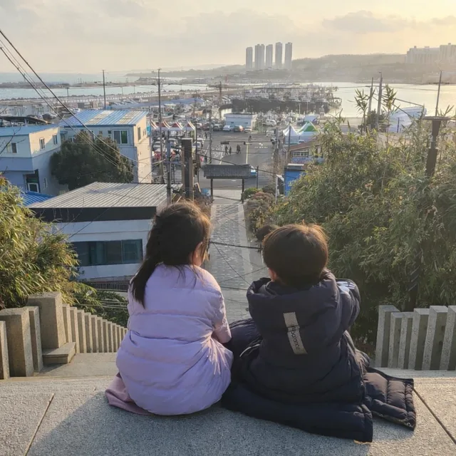 냥이미호