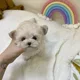 황이