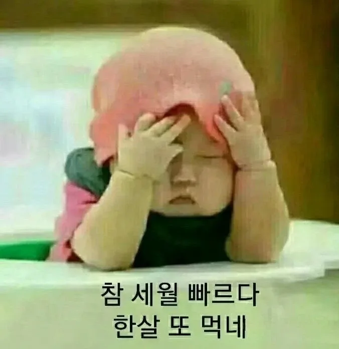 세월고정