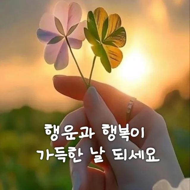 보라빛