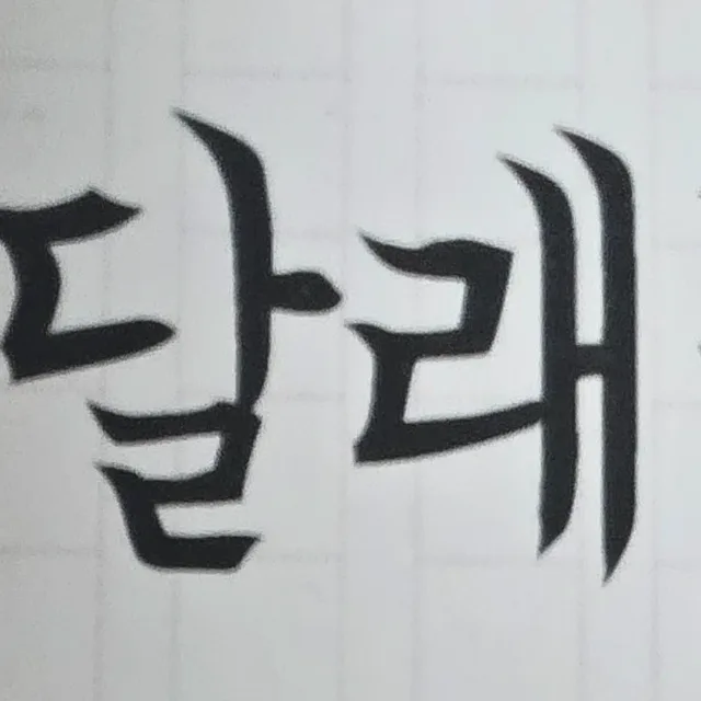 꽃잎마림