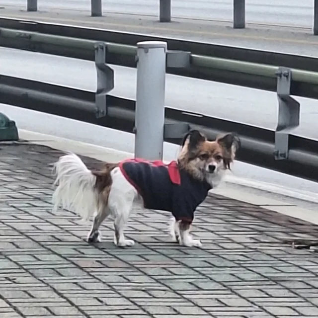 올해는대박대박