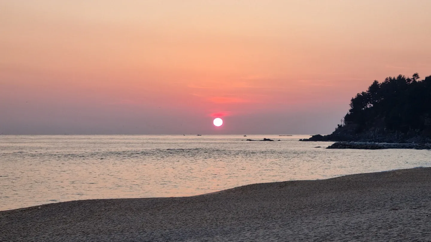 도져
