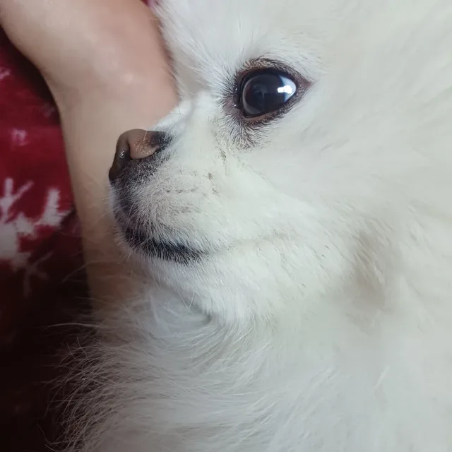 이잉