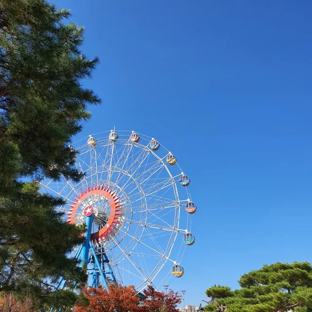 씨앗우웅