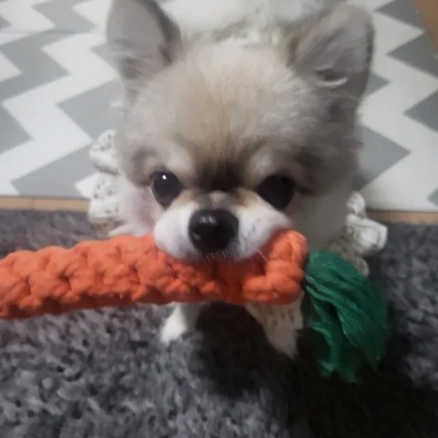 오늘오월