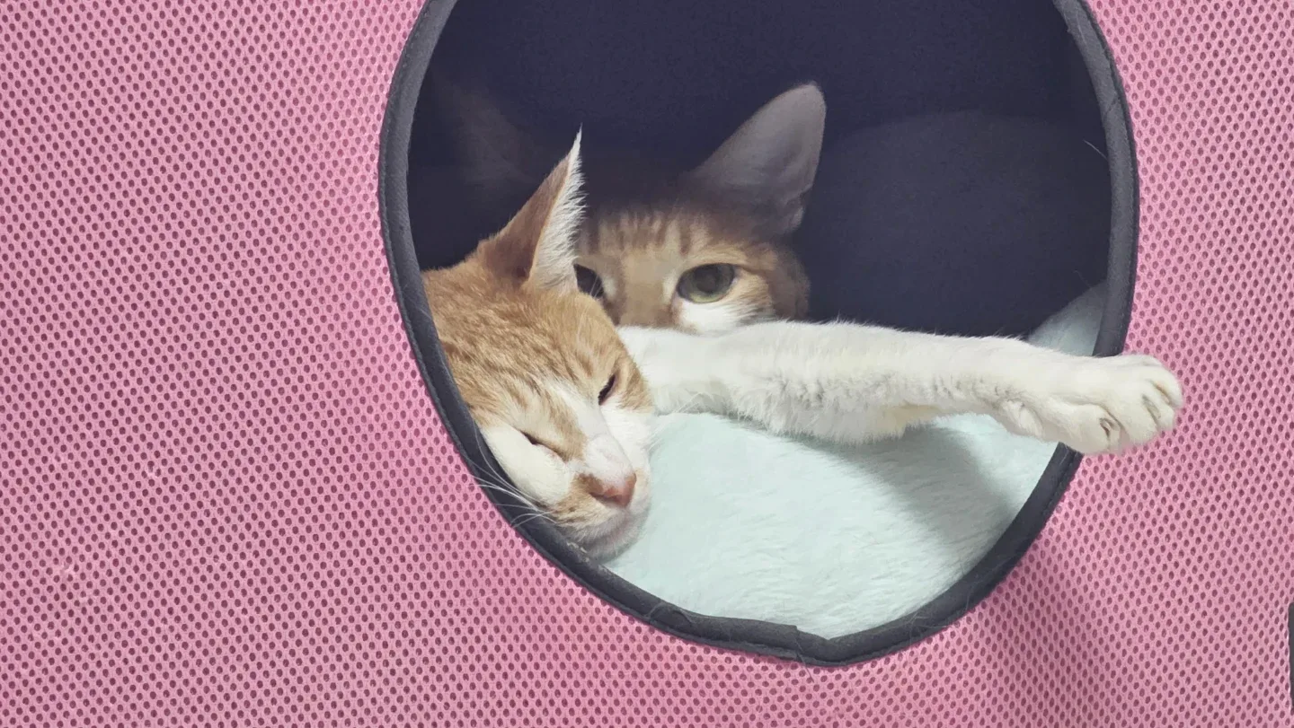 가을겨울