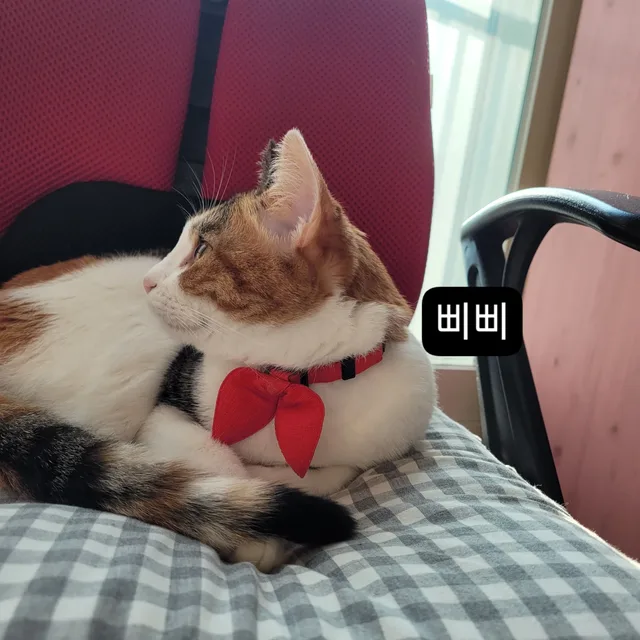 해민