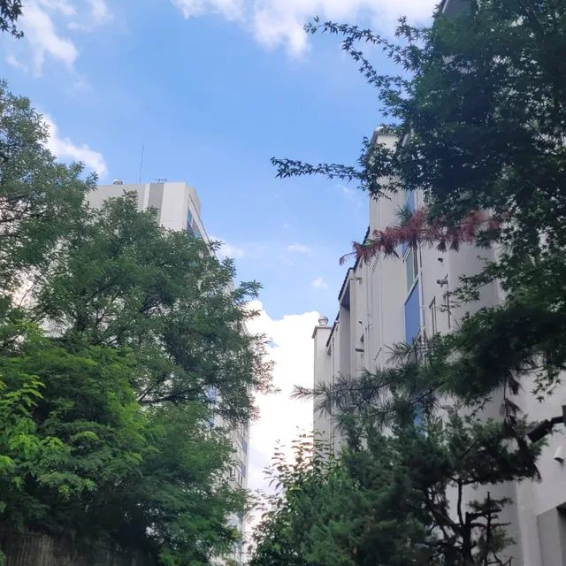 귀염피망