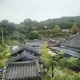 캘리