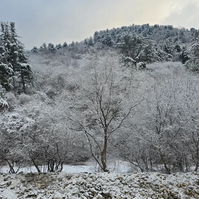 천사