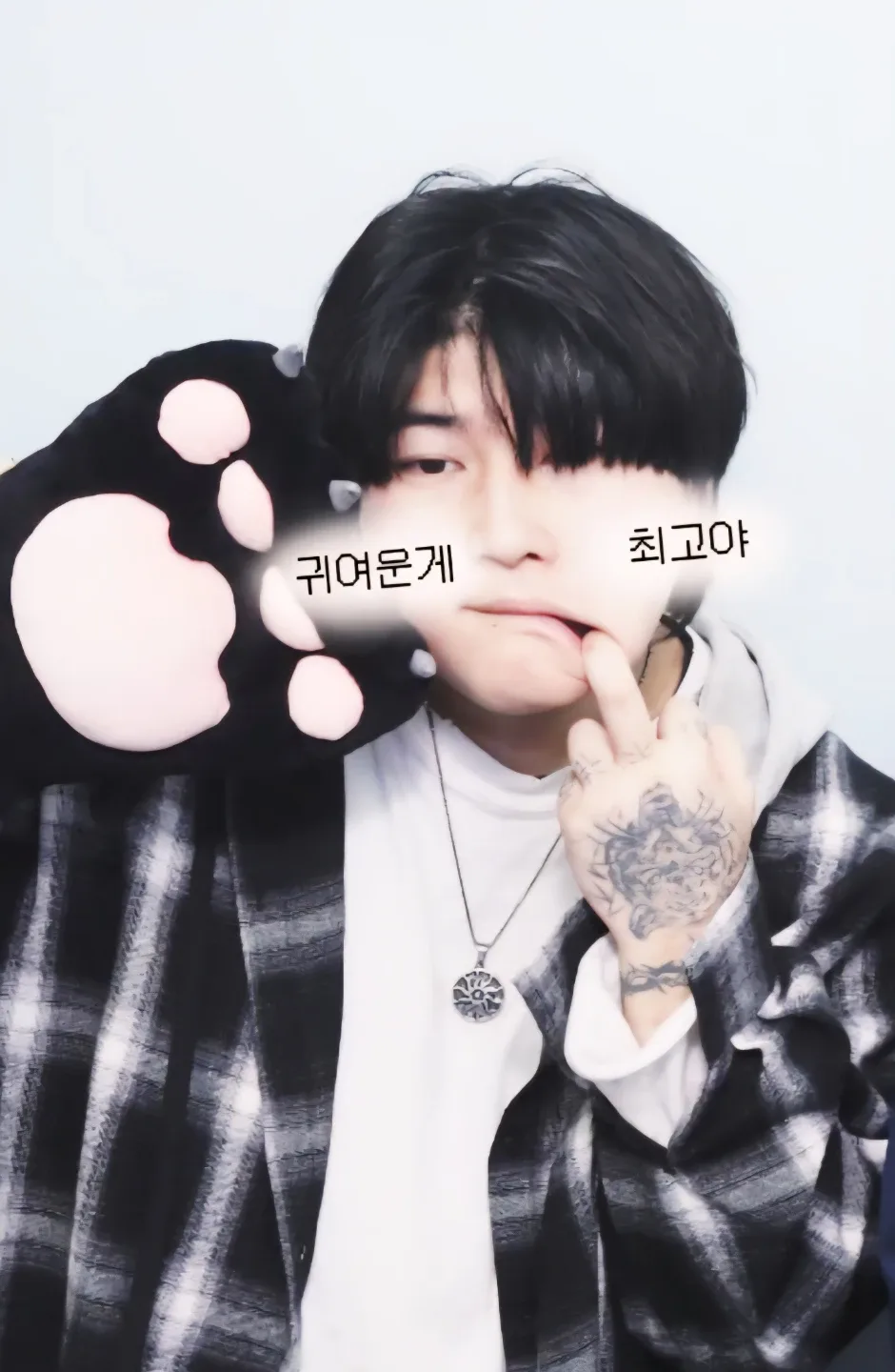 곤이입니다
