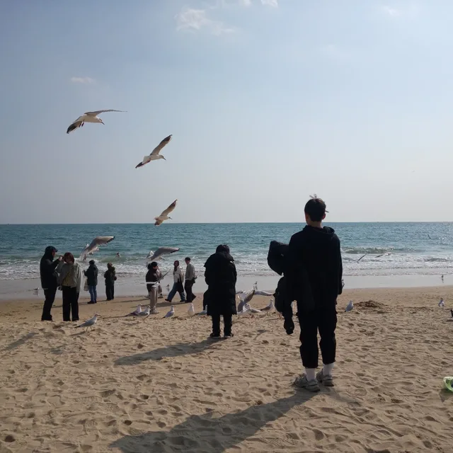 귀염댕이들