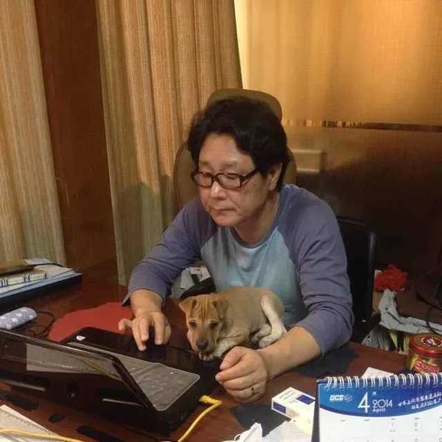취미생활시니어