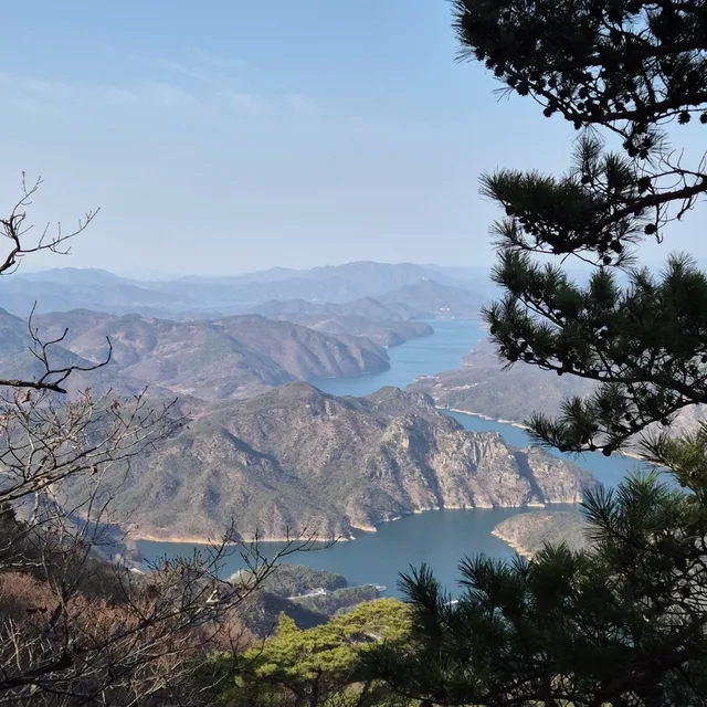 맥시멀리스트