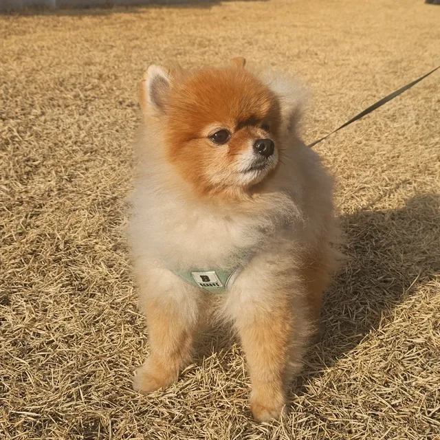 히든남자