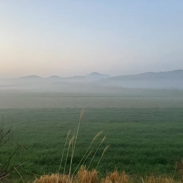 딸부자
