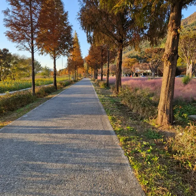 올바른길