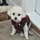 룽지눙나