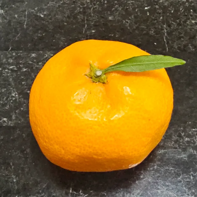 하루