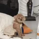 햄둥햄둥