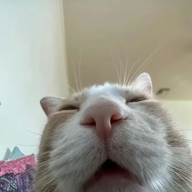 크로마코피아