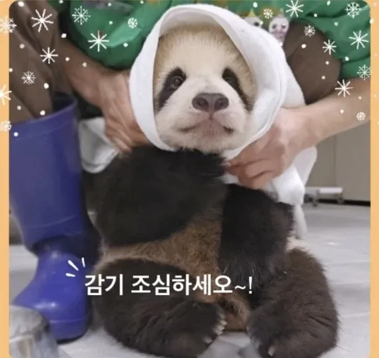 류솔