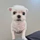 사랑당근