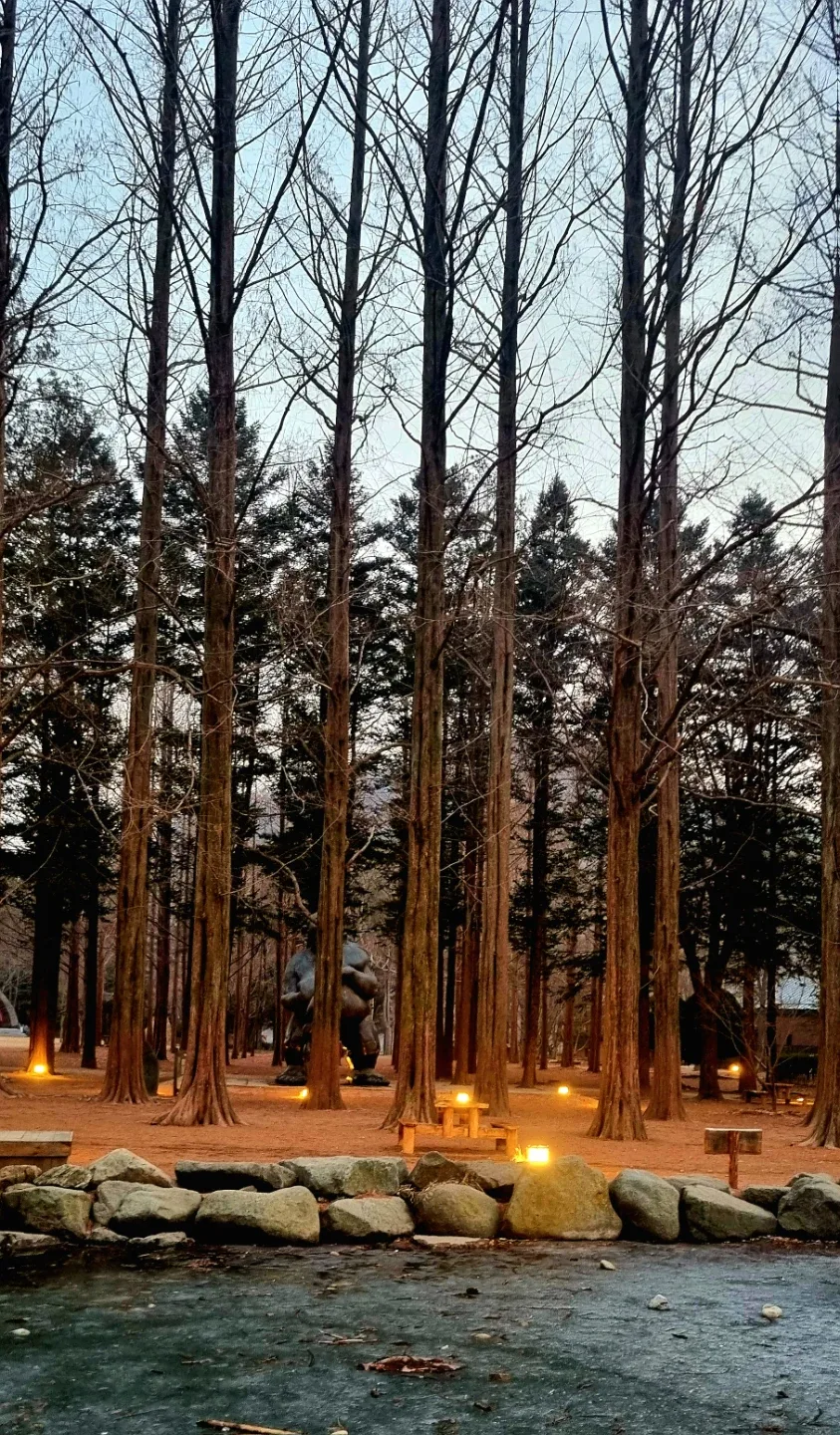 리나숲