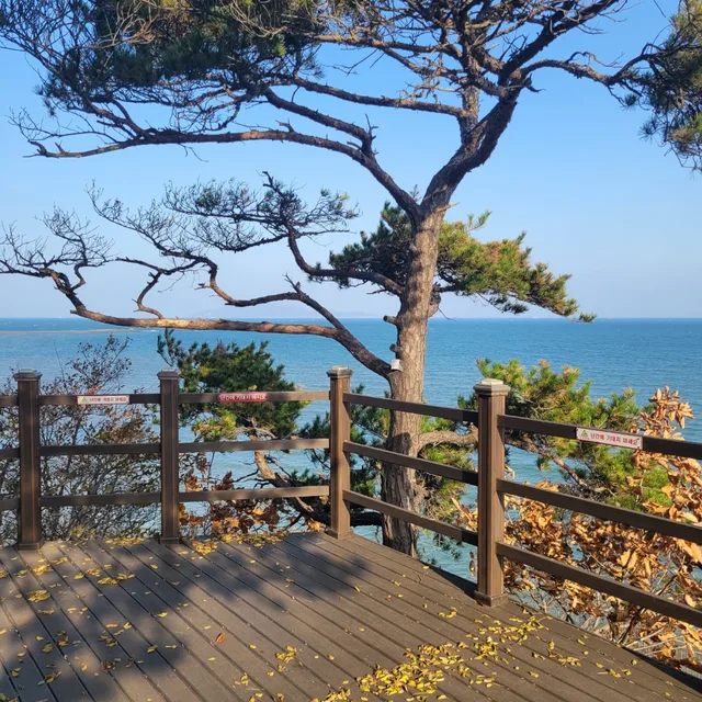 당근매너최고