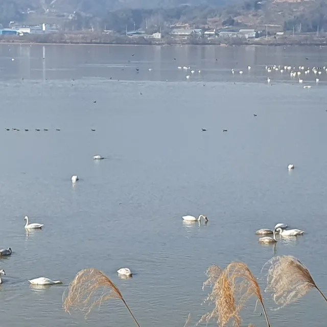 리워드