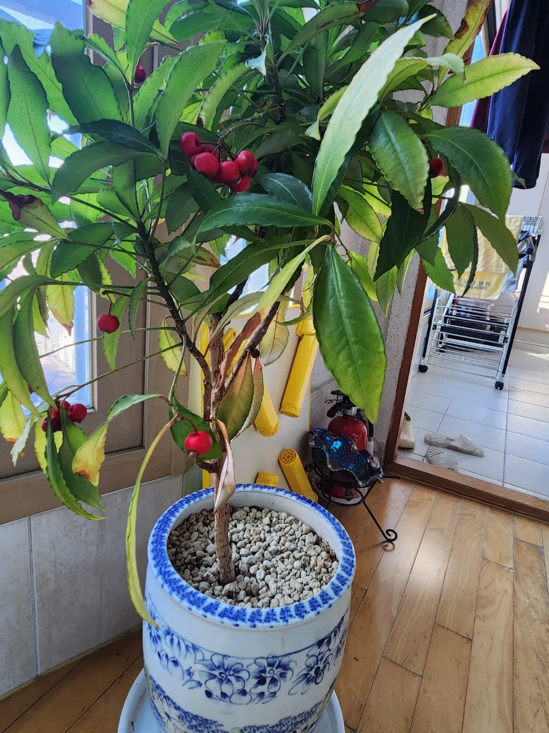 제2고향