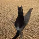 마스터김