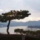 온on온