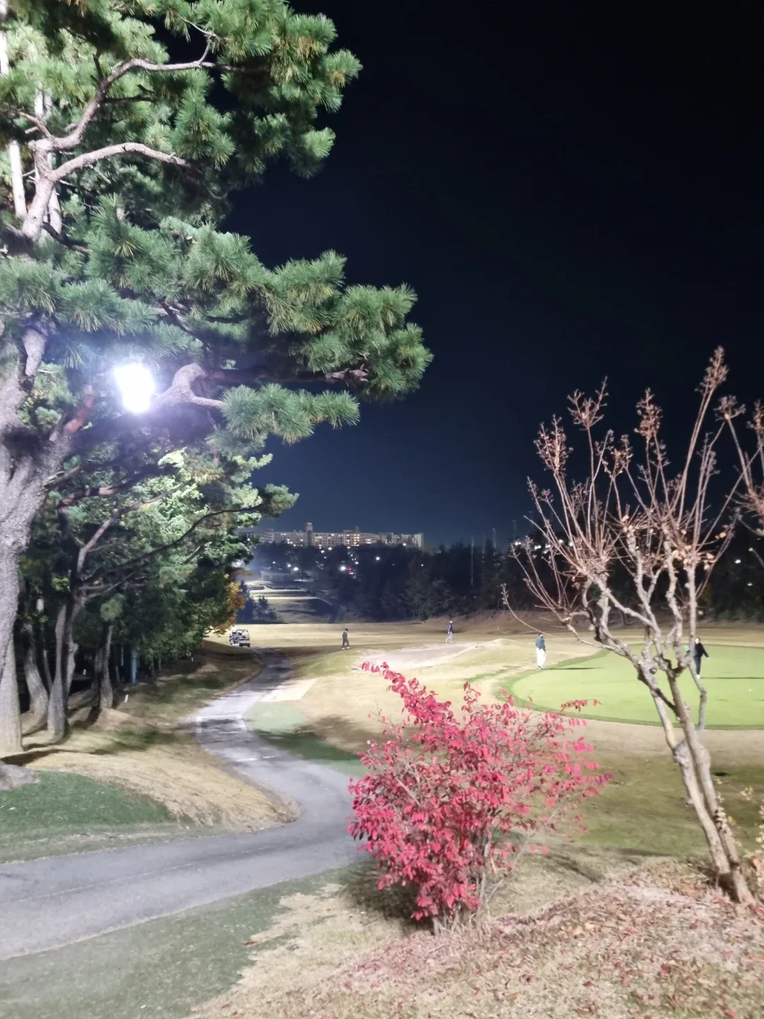 울산대장