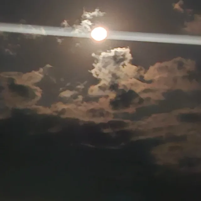 바람잘날없다
