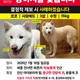 코코구조단체관리자