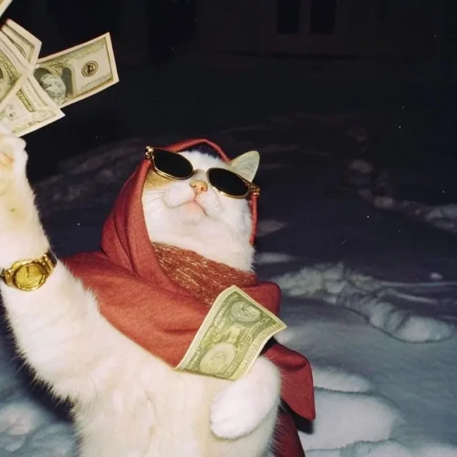 ddddyyy