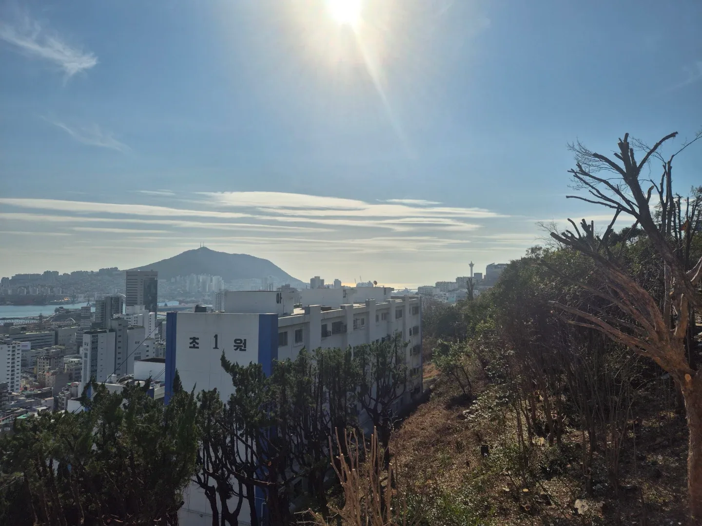 낙엽