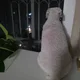 파워에이드