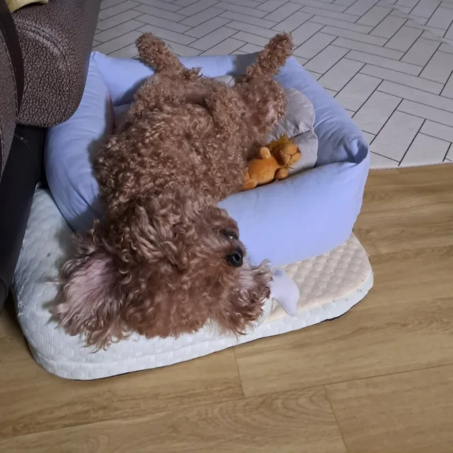 그르릉