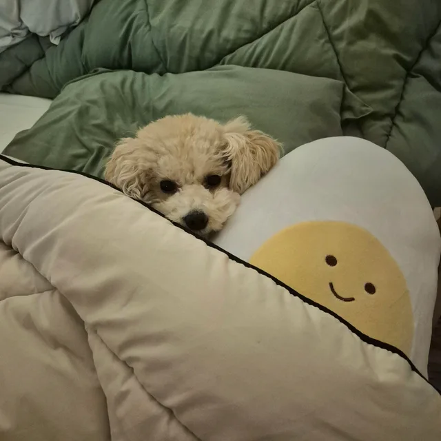 포근
