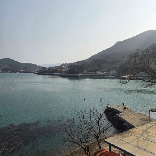 프리지아