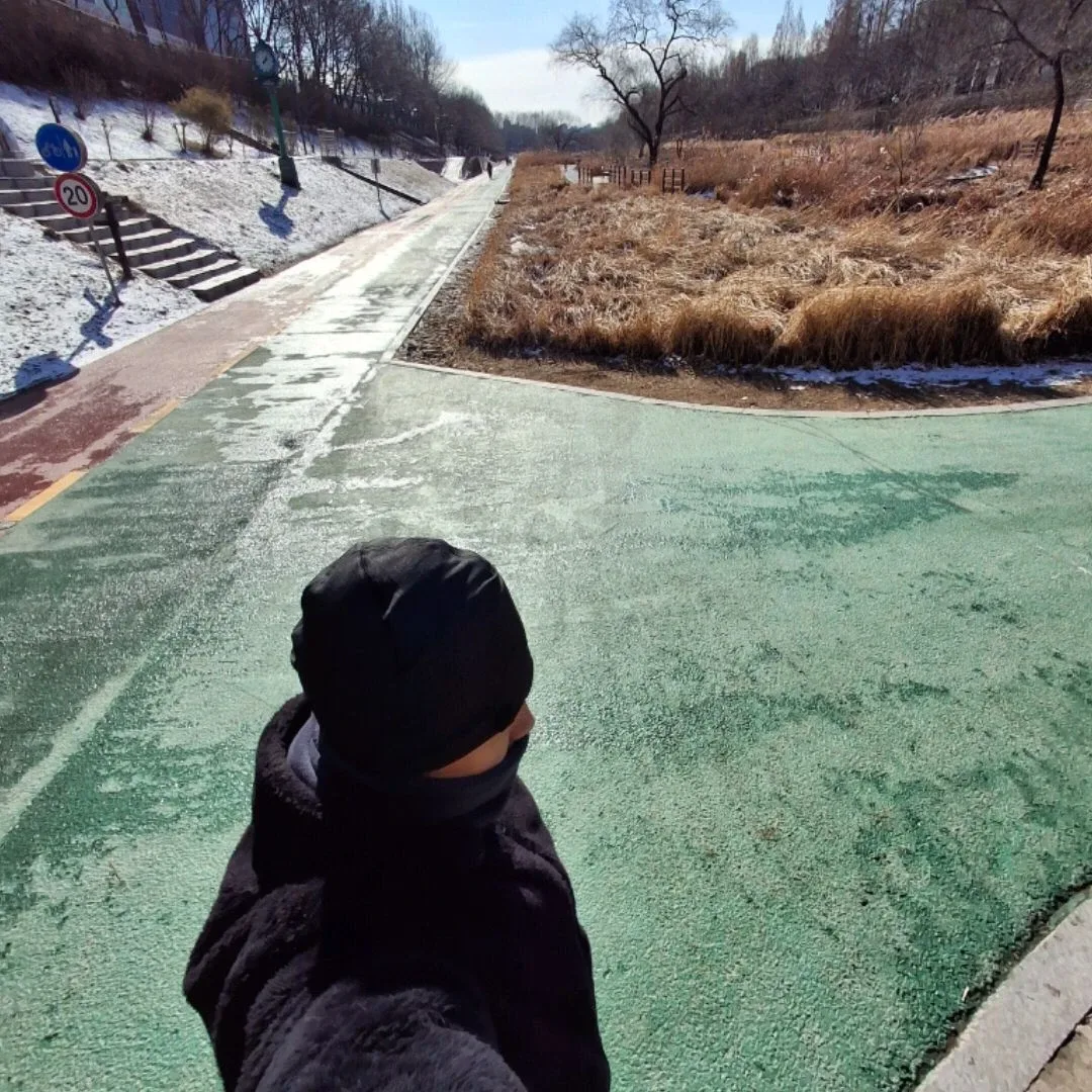 댕댕이형