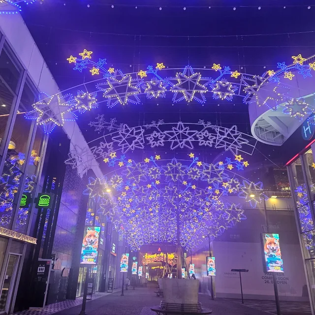 오로라