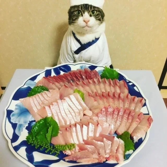 이랏샤이마세