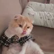 정리중
