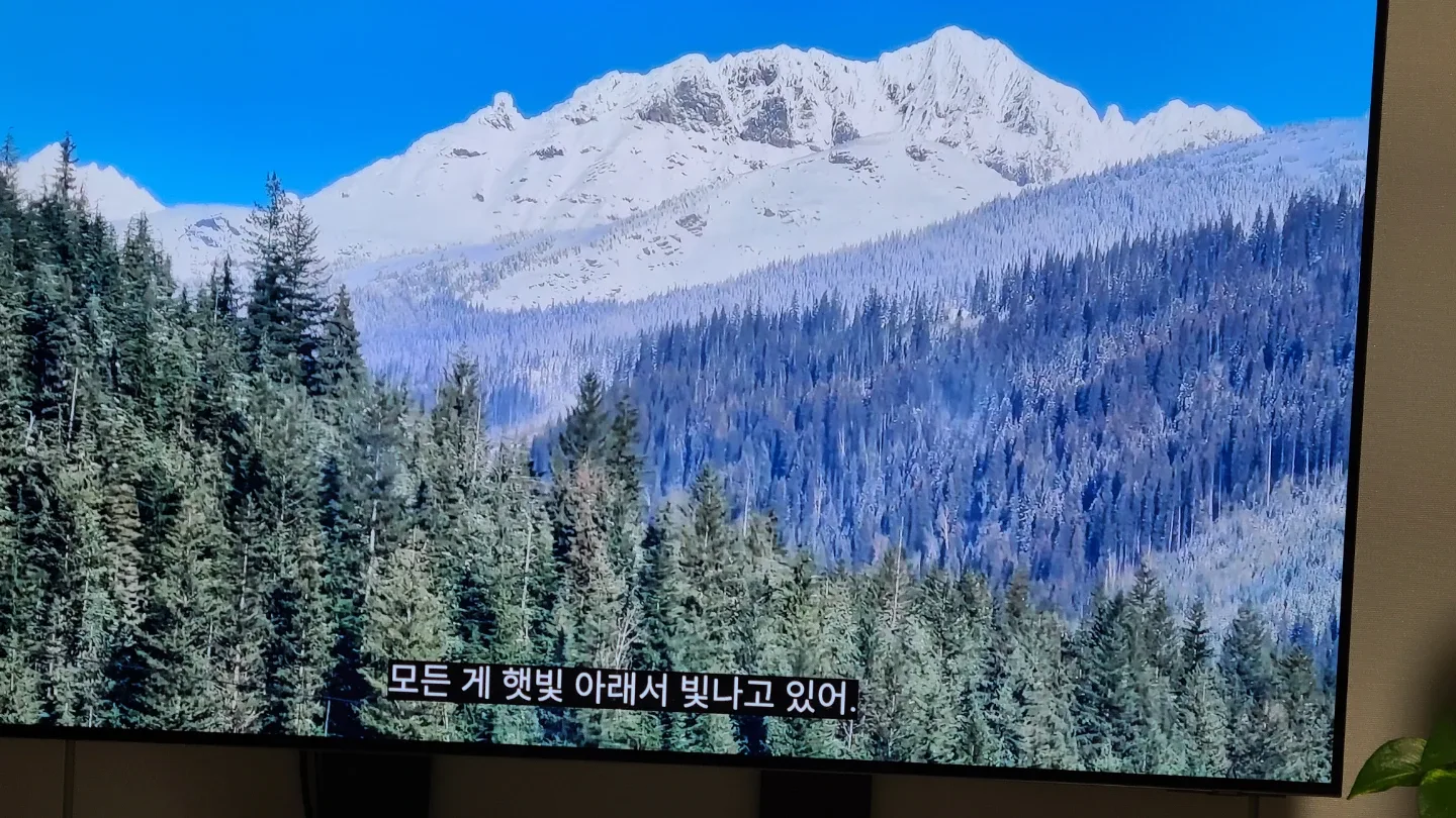 실크로드