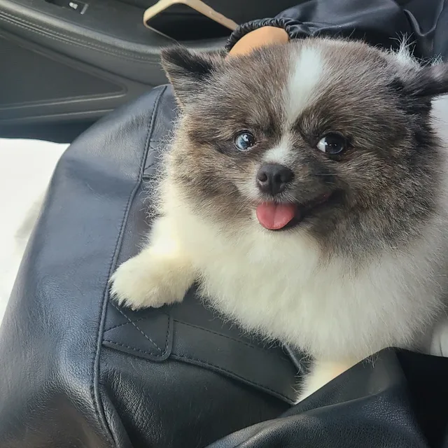 케미